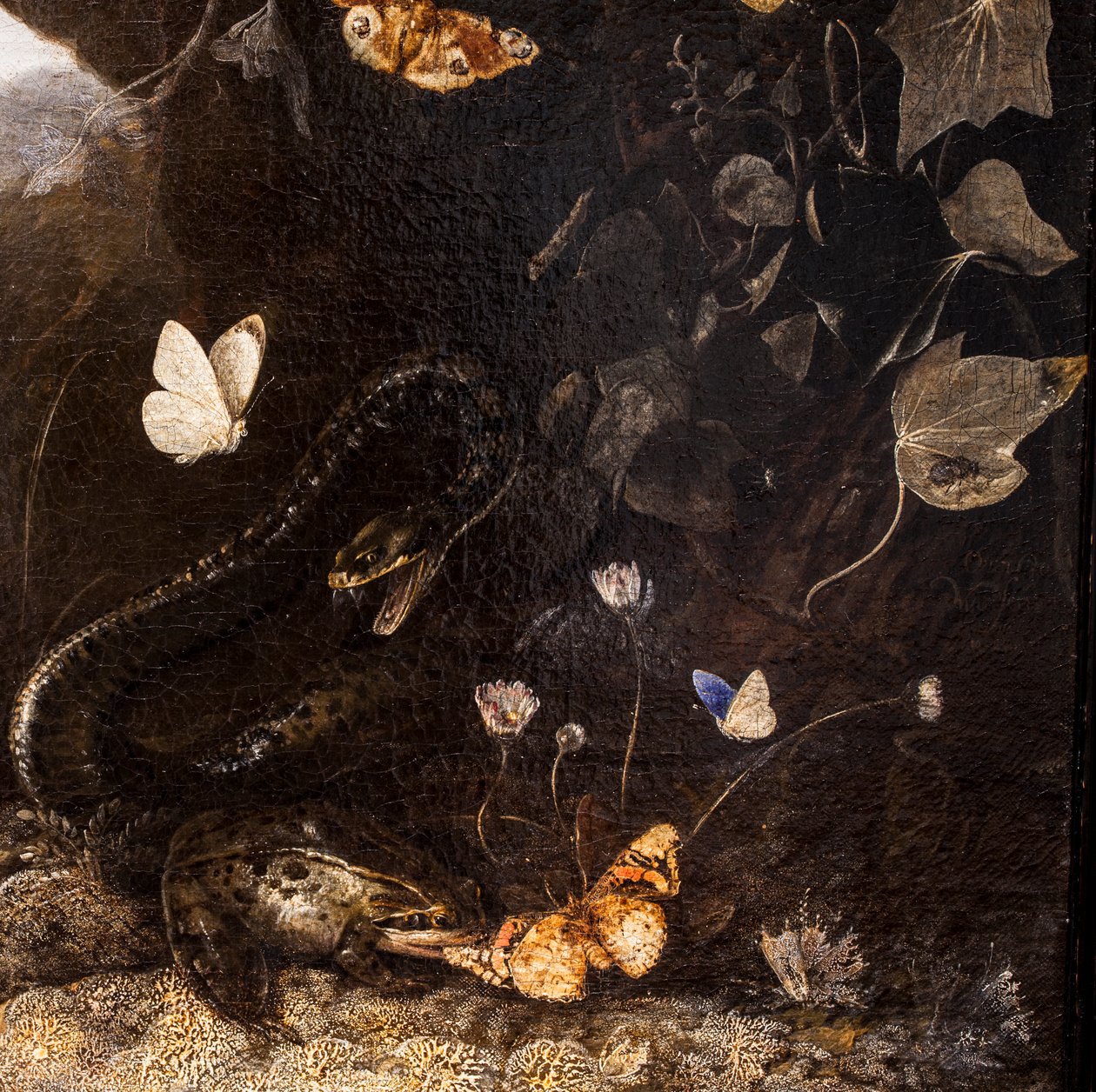 Cobras, sapos e borboletas de Otto Marseus van Schrieck