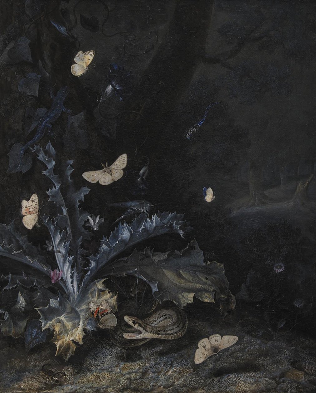 Natureza morta com cardo e cobra de Otto Marseus  van Schrieck