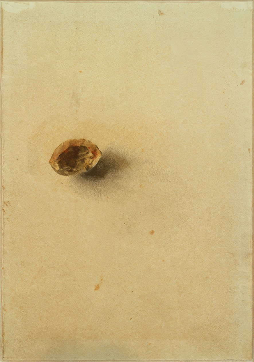 Nusschale de Otto Meyer Amden