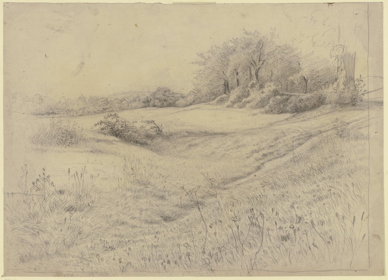 Paisagem florestal perto de Kronberg de Otto Scholderer
