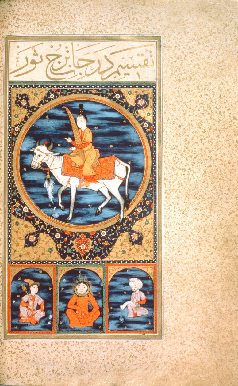 SUF.TURE 242 f.10v Taurus de Ottoman School