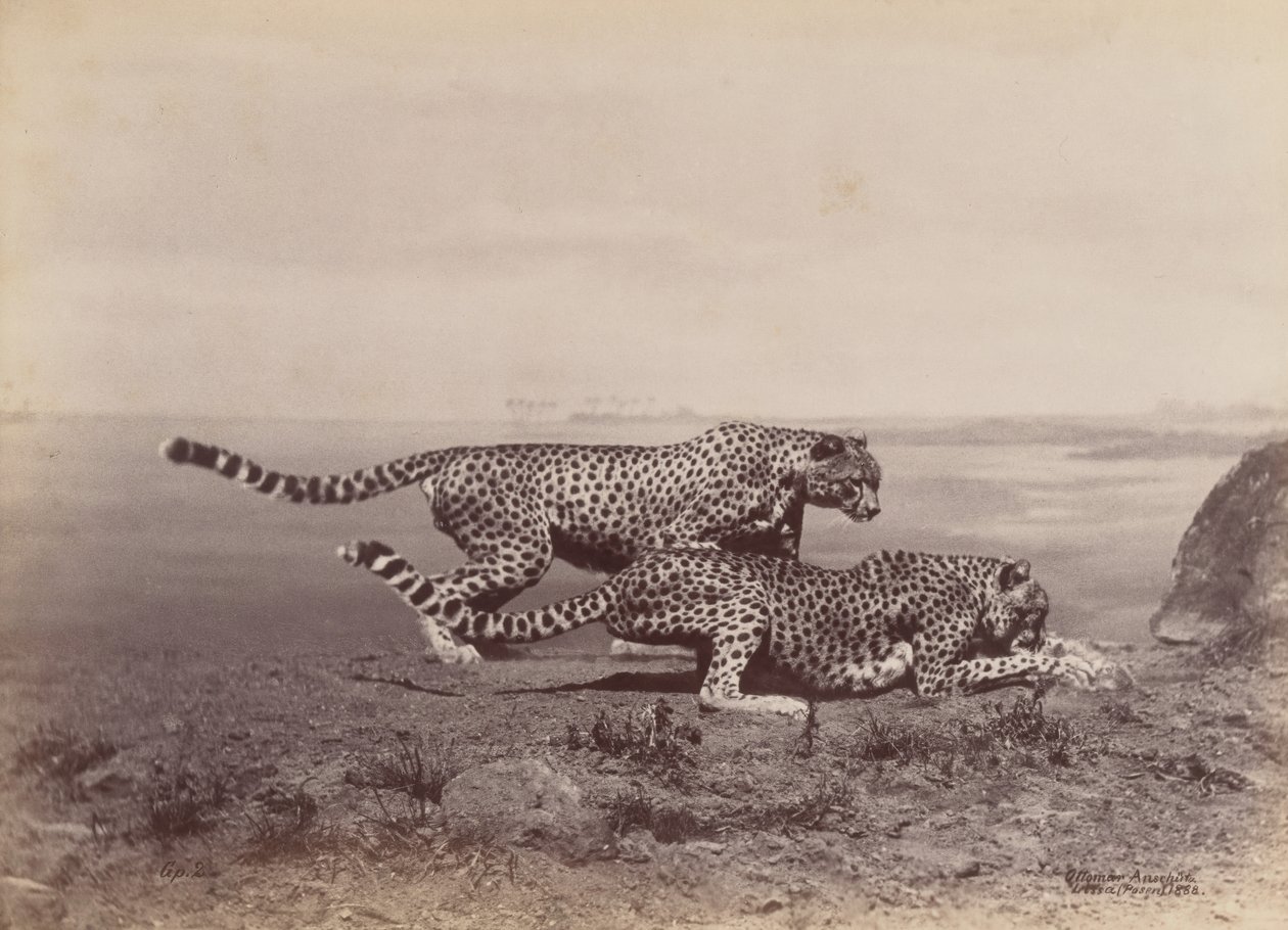 paisagem de Ottomar Anschütz