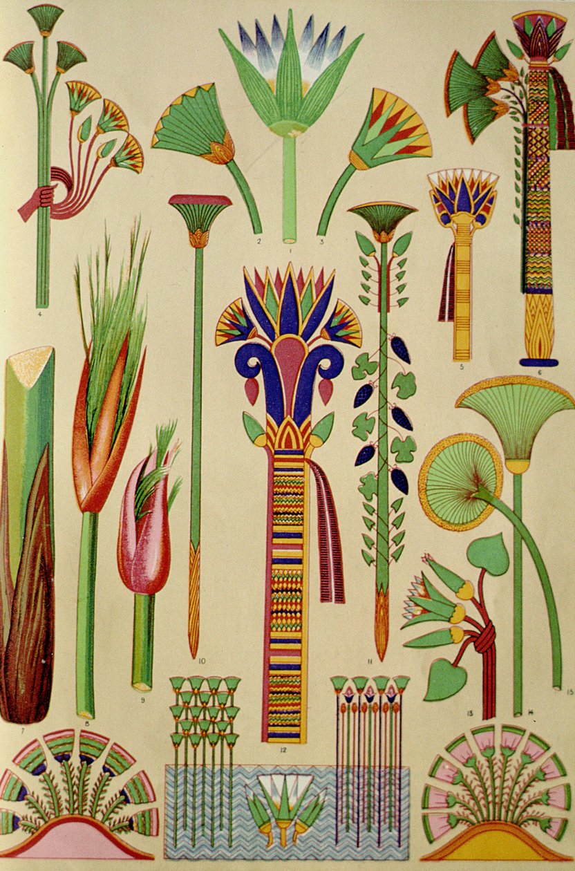 Ornamento egípcio de &39;Grammar of Ornament&39;, 1868 de Owen Jones