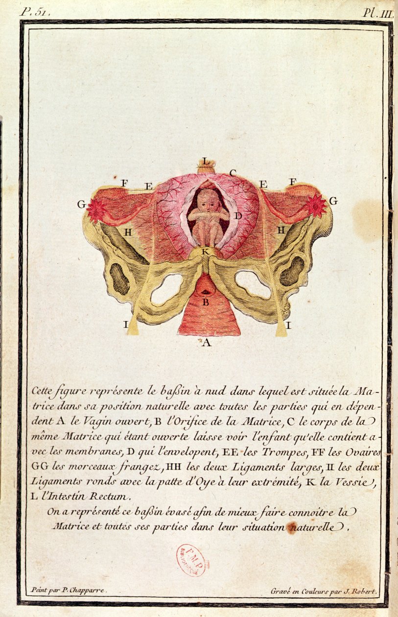 Diagrama transversal do útero, de um livro de Madame Angelique Le Boursier du Coudray (1714-94), gravado por J. Robert, 1783 de P. Chapparre