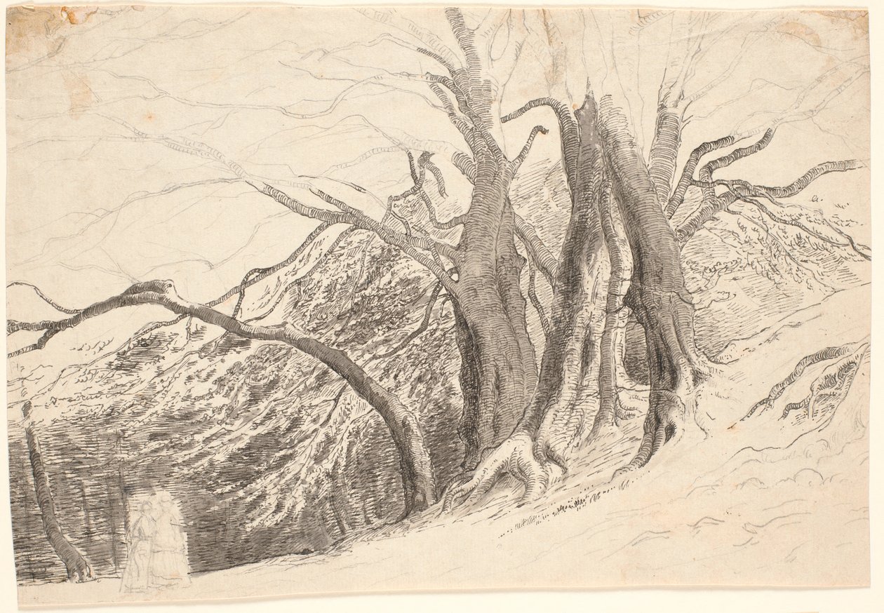 Um penhasco com grandes árvores em uma floresta, com duas senhoras andando. de P.C. Skovgaard