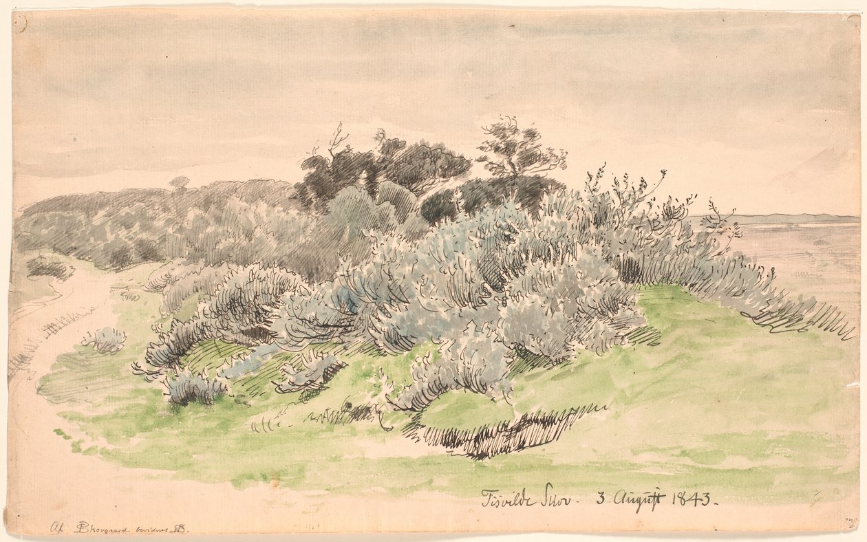 Paisagem com matagal. de P.C. Skovgaard