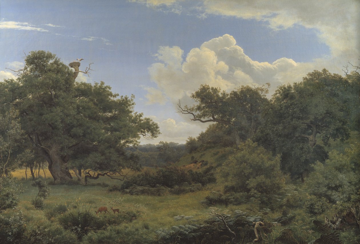Carvalhos em Nordskoven perto de Jægerspris, Zelândia de P.C. Skovgaard