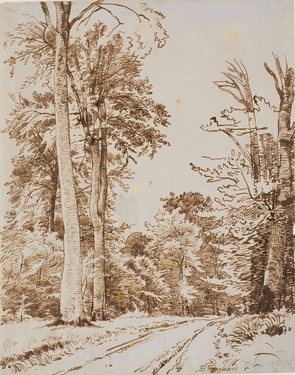 Estrada da floresta. Iselinge de P.C. Skovgaard