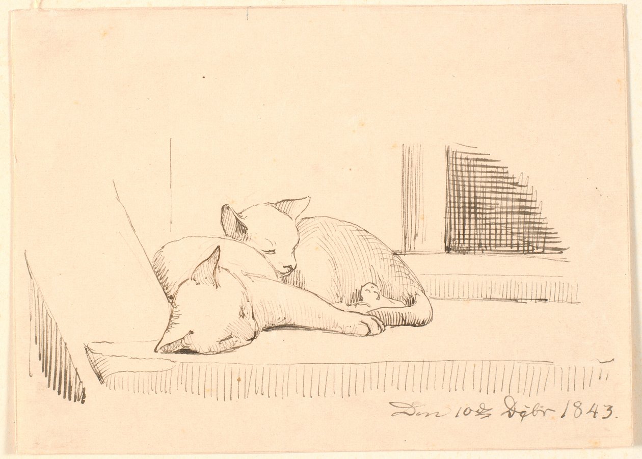 Dois gatos dormindo. de P.C. Skovgaard