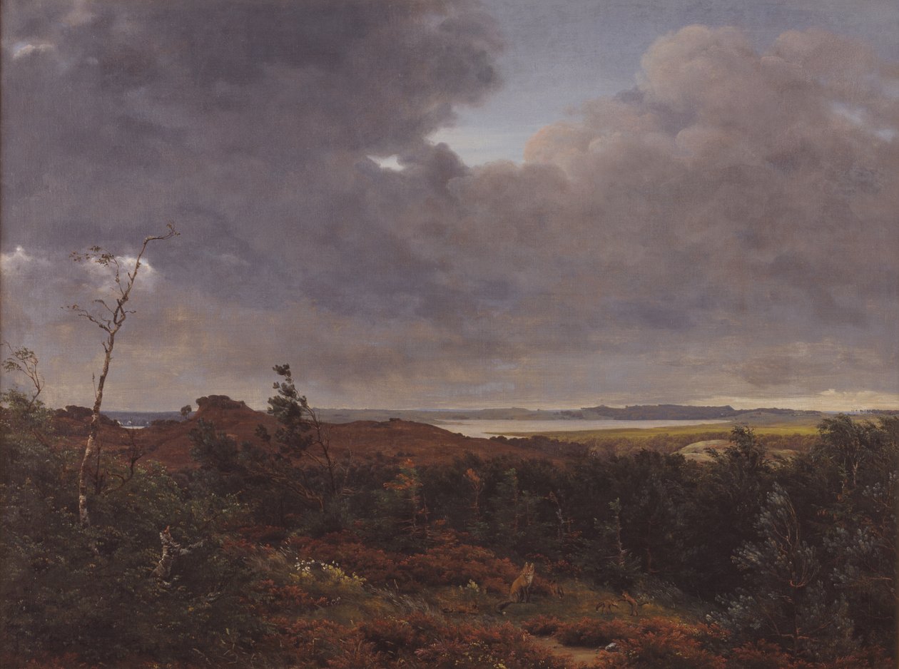 Vista de Frederiksværk de Tisvilde Wood, norte da Zelândia de P.C. Skovgaard