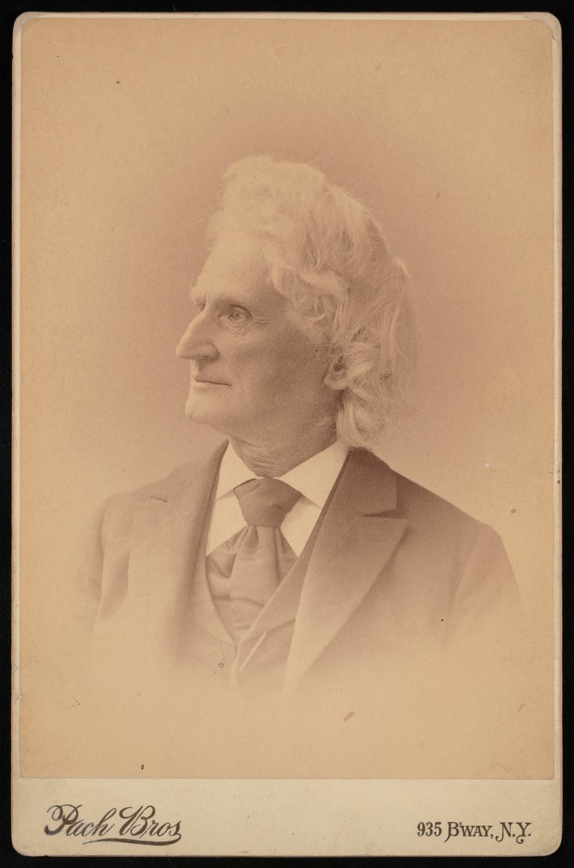 Retrato de James Dwight Dana 1813-1895, fevereiro de 1895. de Pach Bros