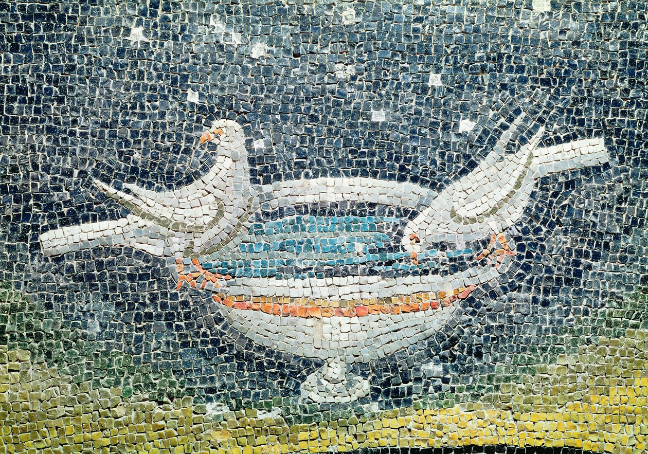Pombas que bebem de uma bacia, c.430 AD (mosaico) de Paleo Christian