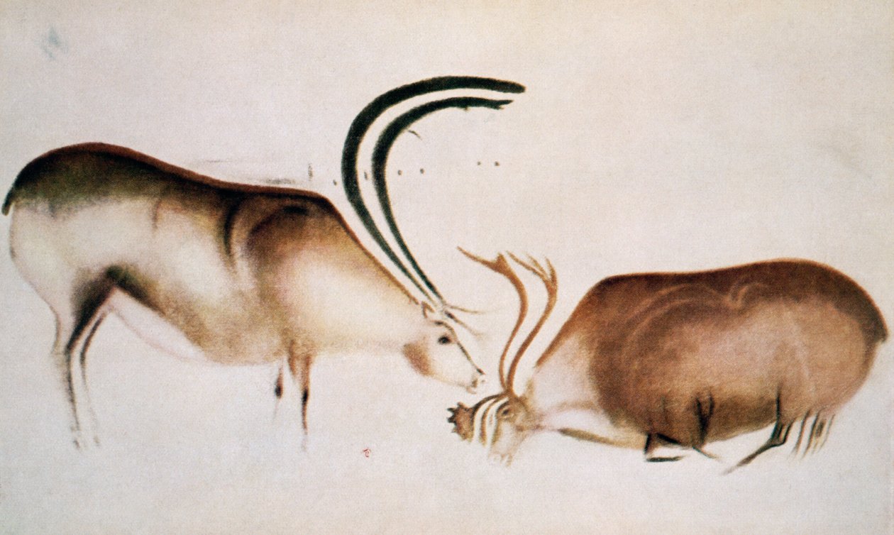 Veado macho e fêmea, escola Magdaleniana, c.13000 aC (pintura rupestre) de Paleolithic