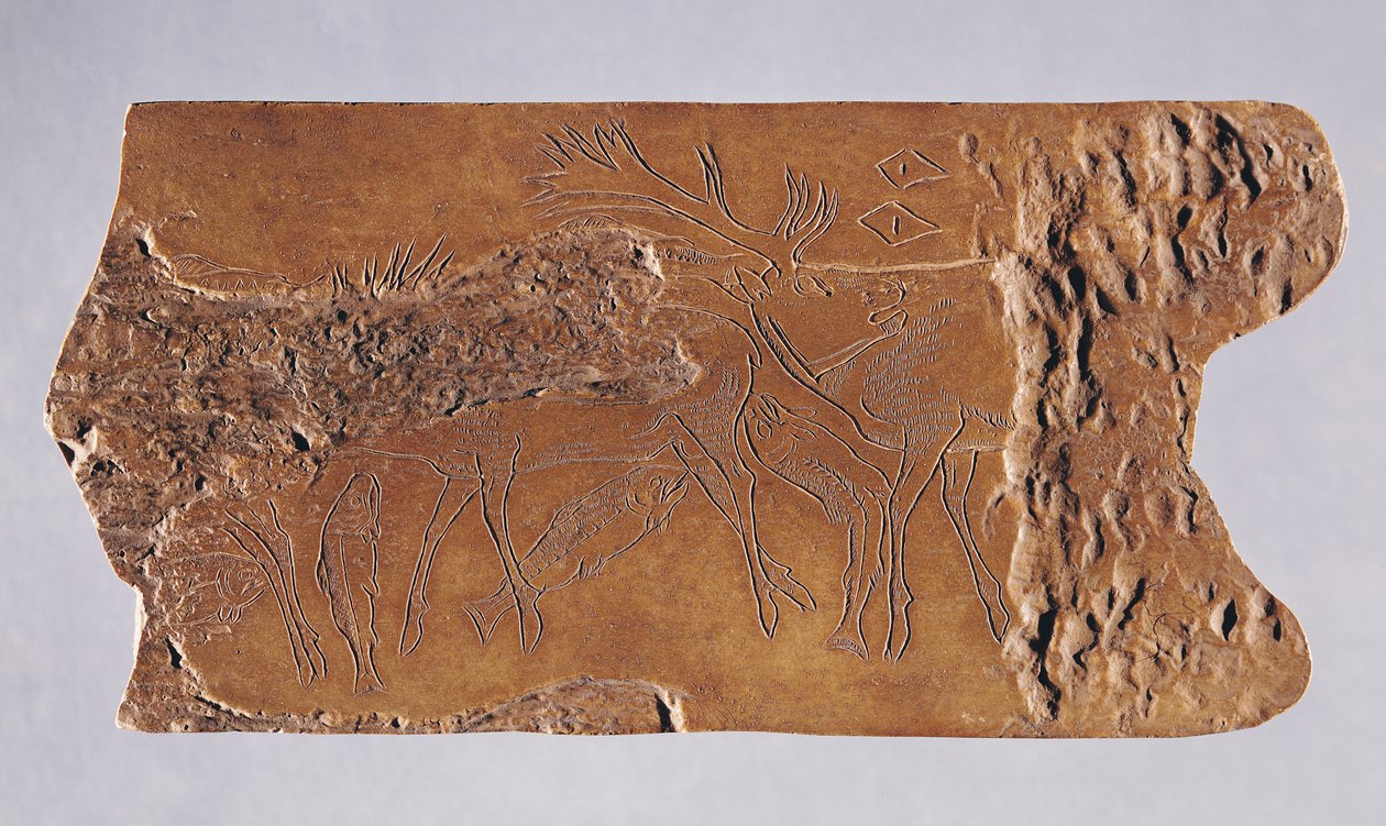 Chifre de rena esculpido com veados e salmão saltando, da Grotte de Lortet, Magdalenian, 15000-18000 aC (trompa) de Paleolithic