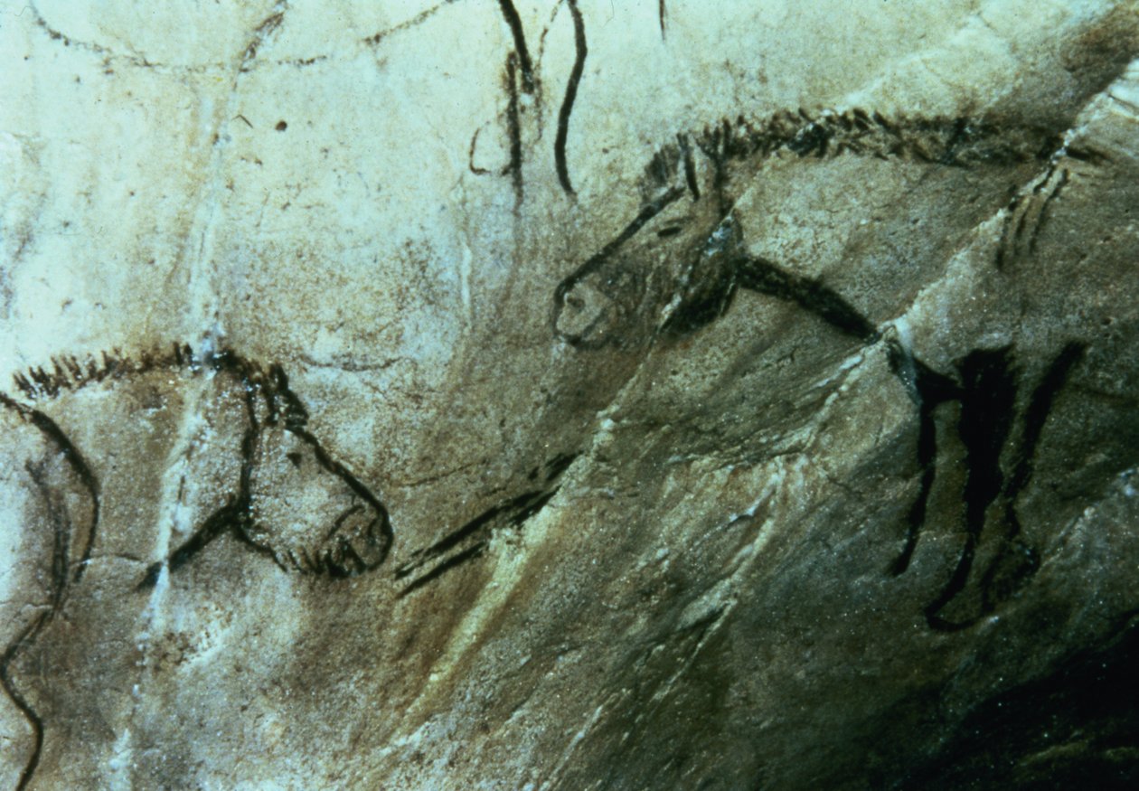 Cavalos, pinturas rupestres na Sala Negra, Magdalenian (pintura rupestre) de Paleolithic Paleolithic