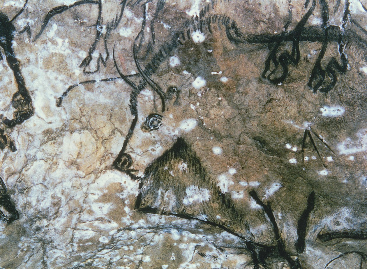 Touro ferido, pintura rupestre, magdaleniano (pintura rupestre) de Paleolithic Paleolithic