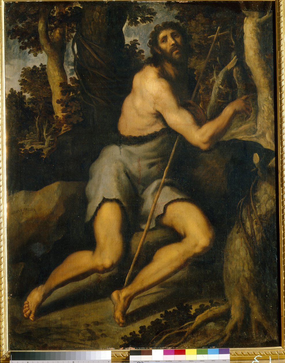 São João Baptista no Deserto. Jacopo Palma il Giovane, o jovem (1544-1628), óleo sobre tela, século XVI-17. Arte italiana (Veneza), Maneirismo. Museu de Arte Ocidental e Oriental, Kiev (ucrânia). de Palma Il  Giovane