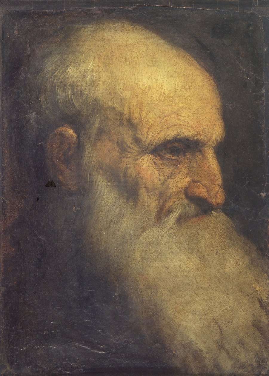 Cabeça de homem (frente), c.1588-90 (óleo sobre painel de lona) de Palma Il Giovane