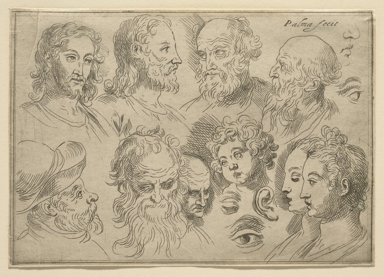 Placa de desenho com dez cabeças, 1636 de Palma Il Giovane