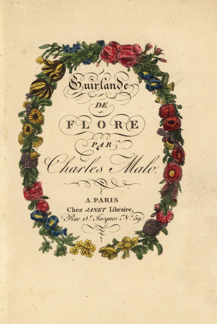 Página de título caligráfica dentro de uma coroa de flores de rosas, túlipas e outras flores de Pancrace (after) Bessa