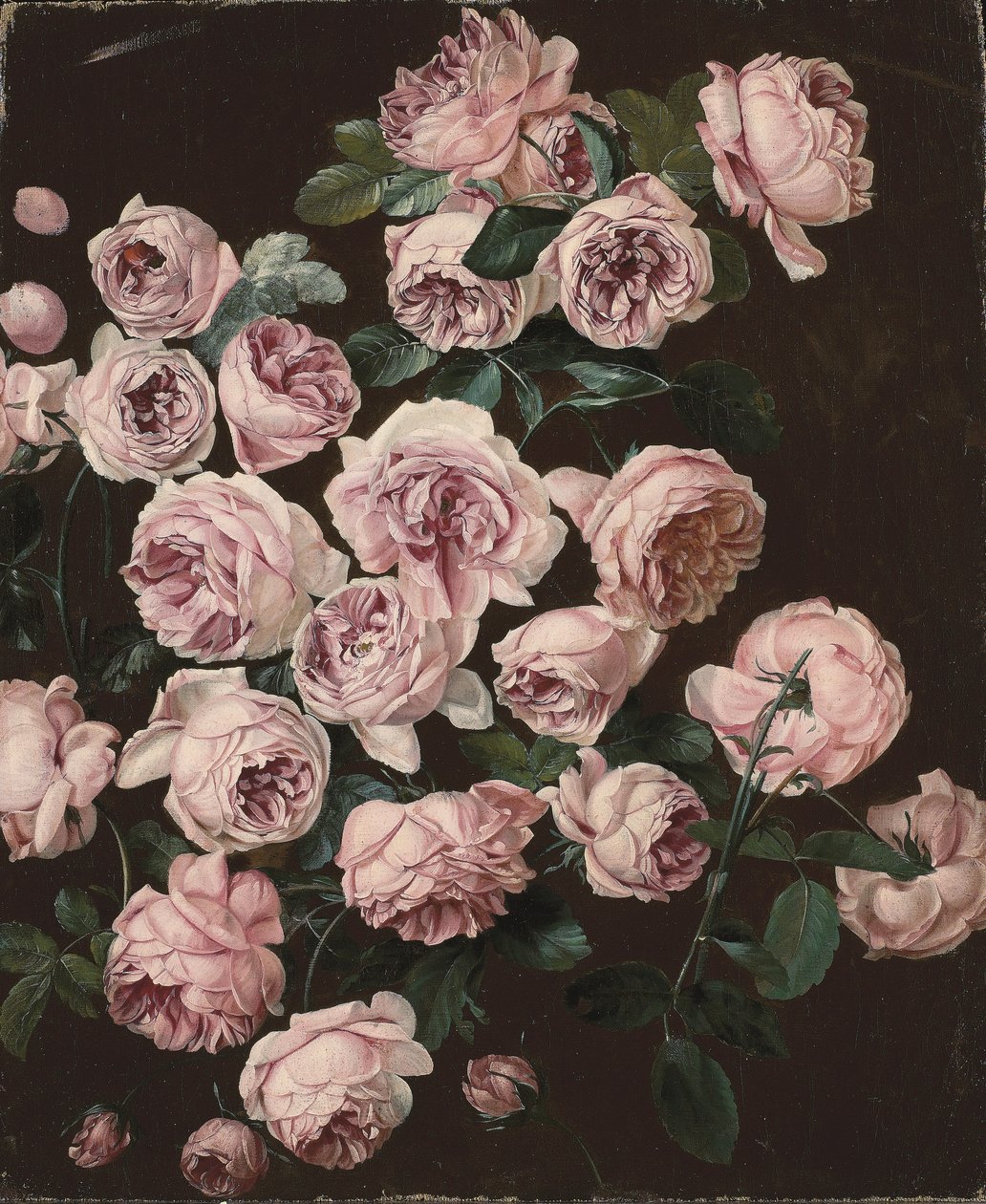 Uma roseira (óleo sobre tela) de Pancrace Bessa
