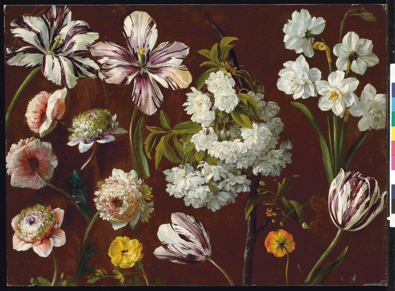 Tulipas roxas, prunus de floração branca, narciso e crisântemo rosa (óleo sobre papel) de Pancrace Bessa