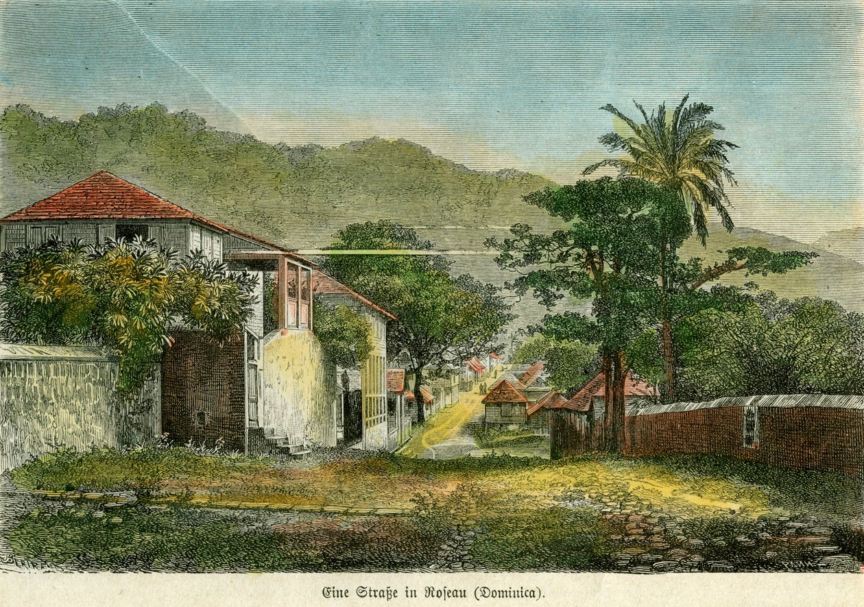 Uma rua em Roseau, Dominica, c1880. de Pann