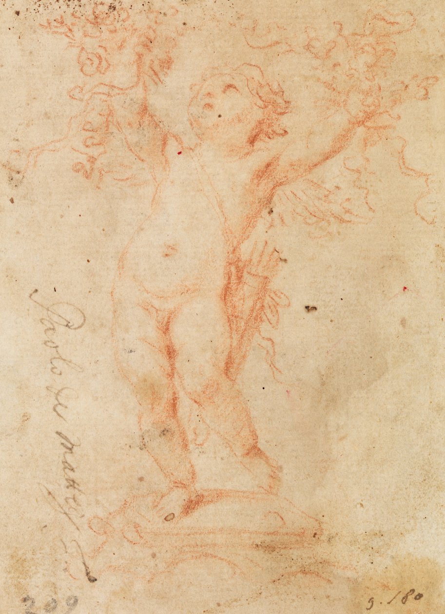 Cupido levantando cachos de flores com os dois braços de Paolo de Mattheis