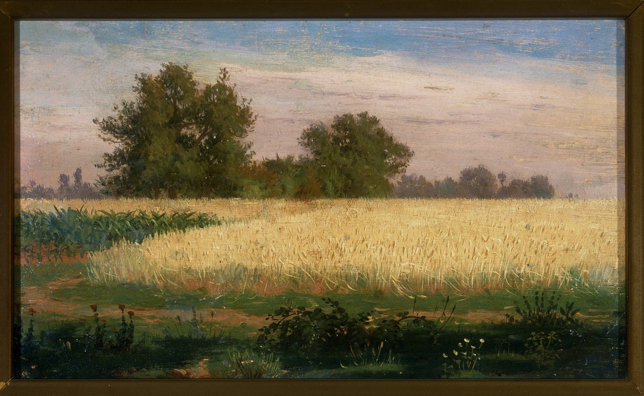 Paisagem com um campo de trigo de Paolo Ferretti