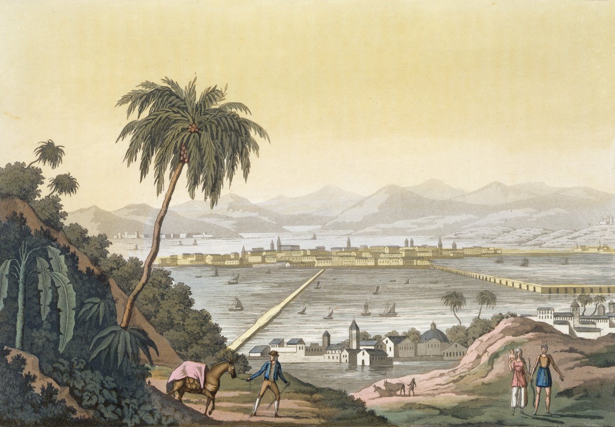 Vista da Cidade do México (gravura de cor) de Paolo Fumagalli