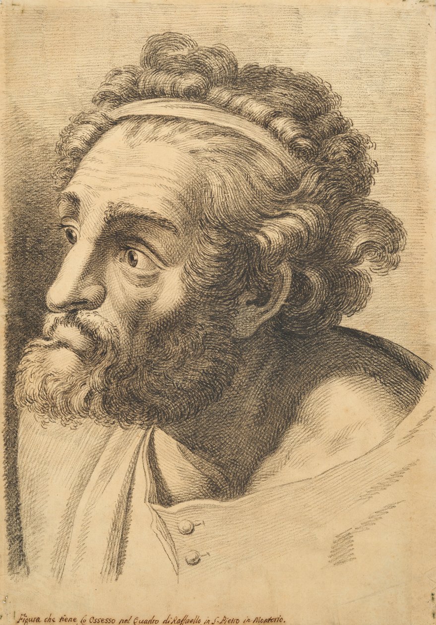 Cabeça de um homem de barba, de 42 Studies of Heads after Raphael de Paolo Fidanza