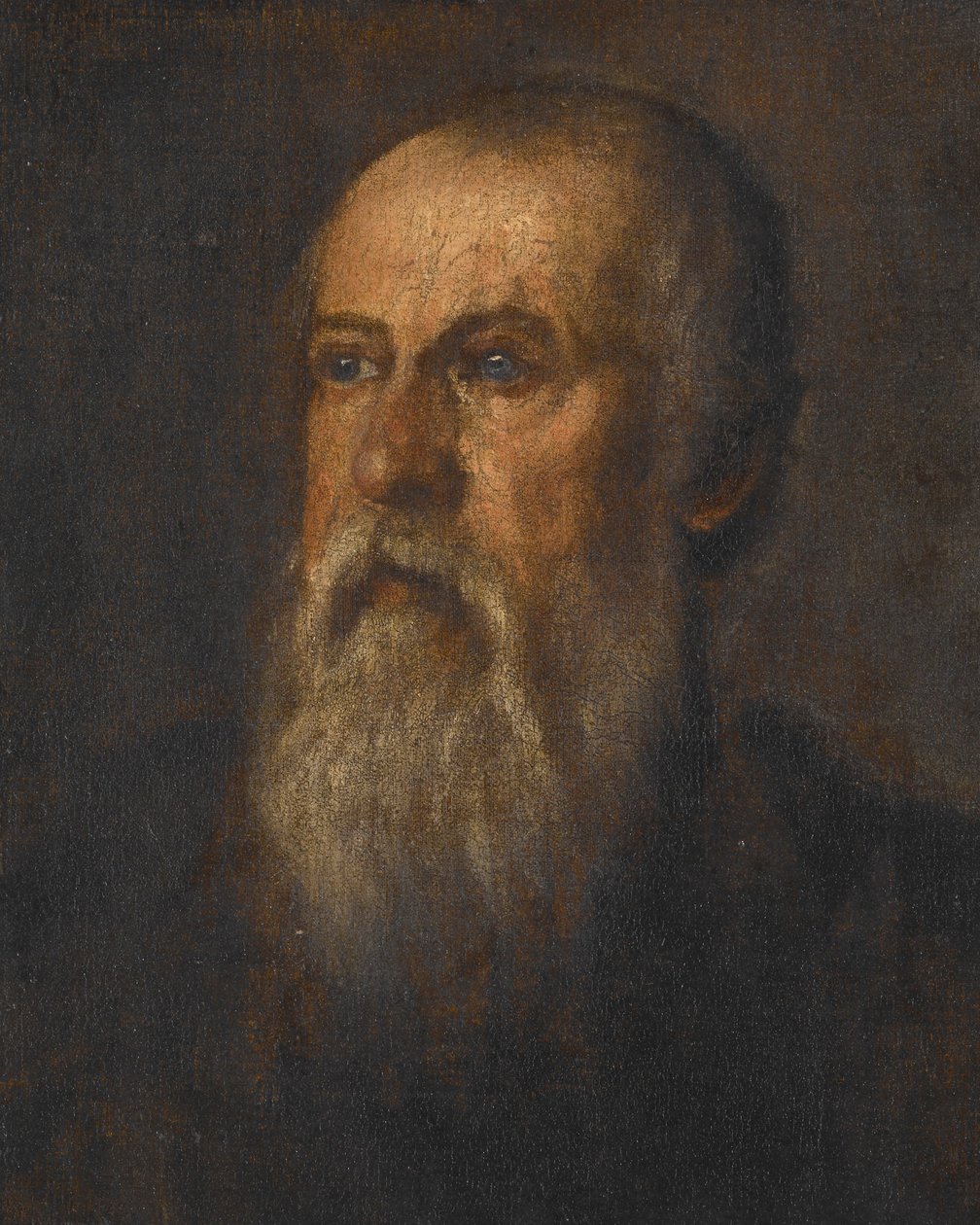 Retrato de um homem barbudo de Paolo Veronese