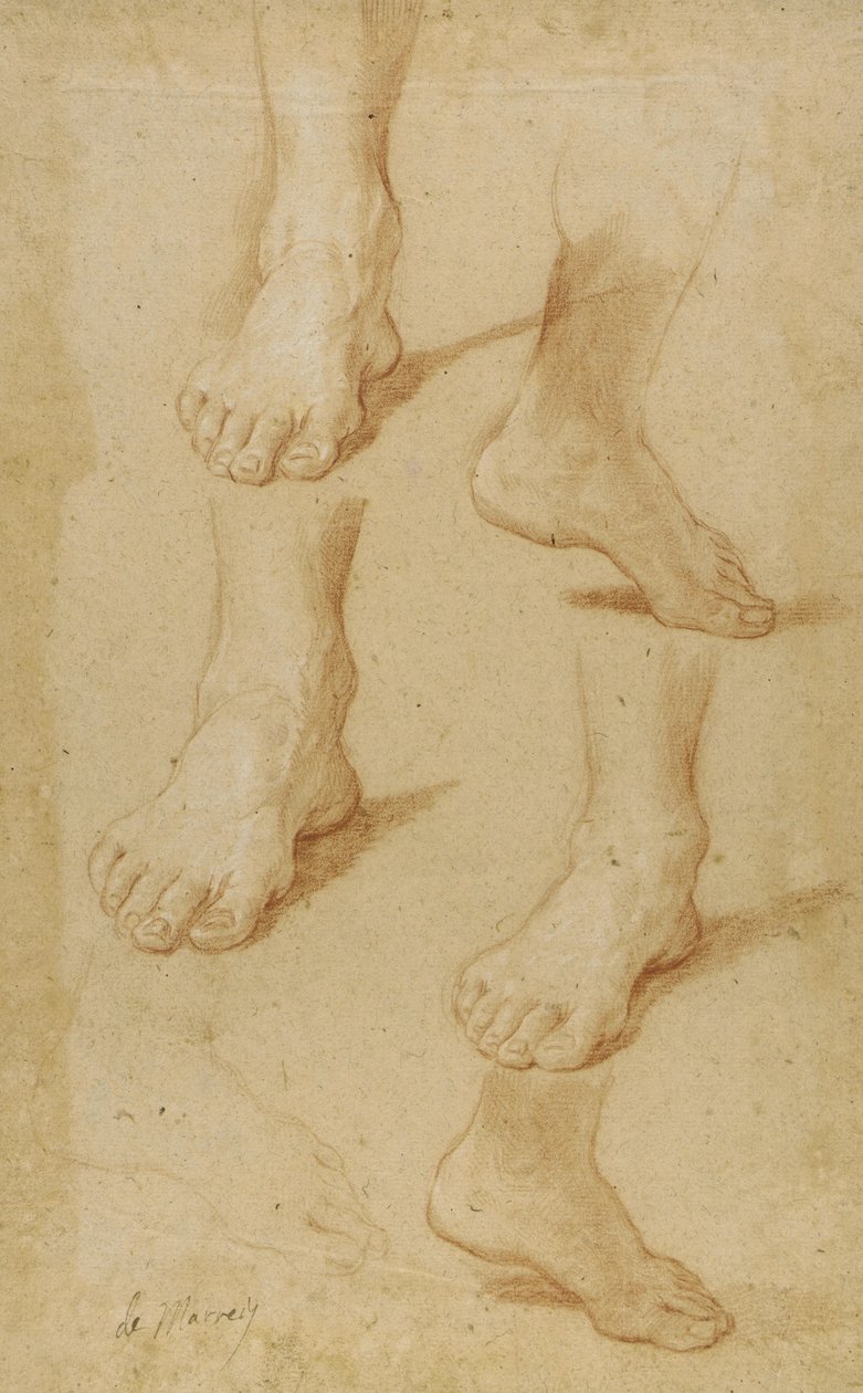 Desenho de Paolo de Matteis