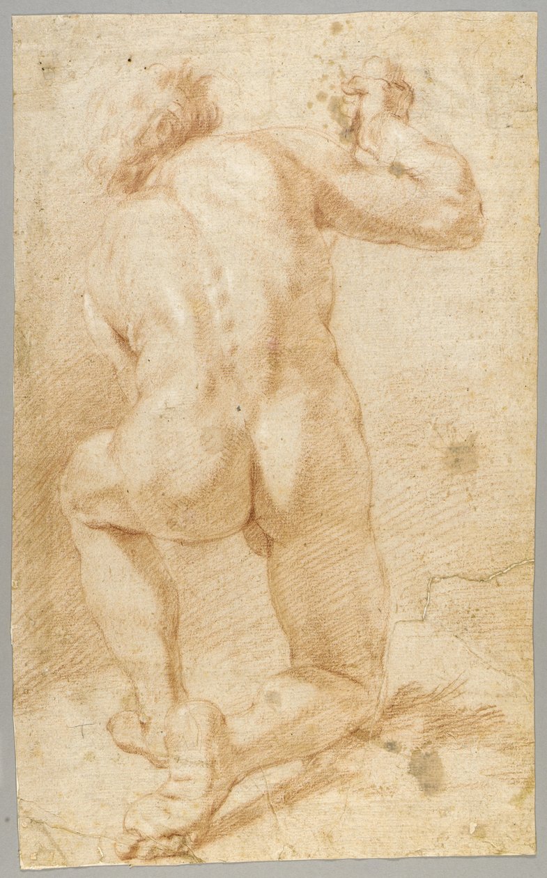 Desenho de Paolo de Matteis