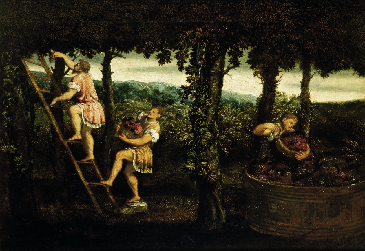 Cena de vindima (óleo sobre tela) de Paris Bordone