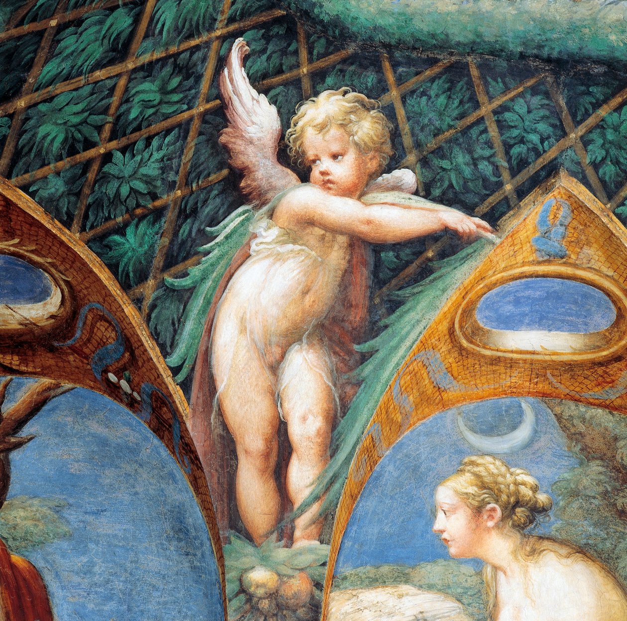 O rosto de Cherub e Diana, de Mito de Diana e Actaeon, circa de Parmigianino