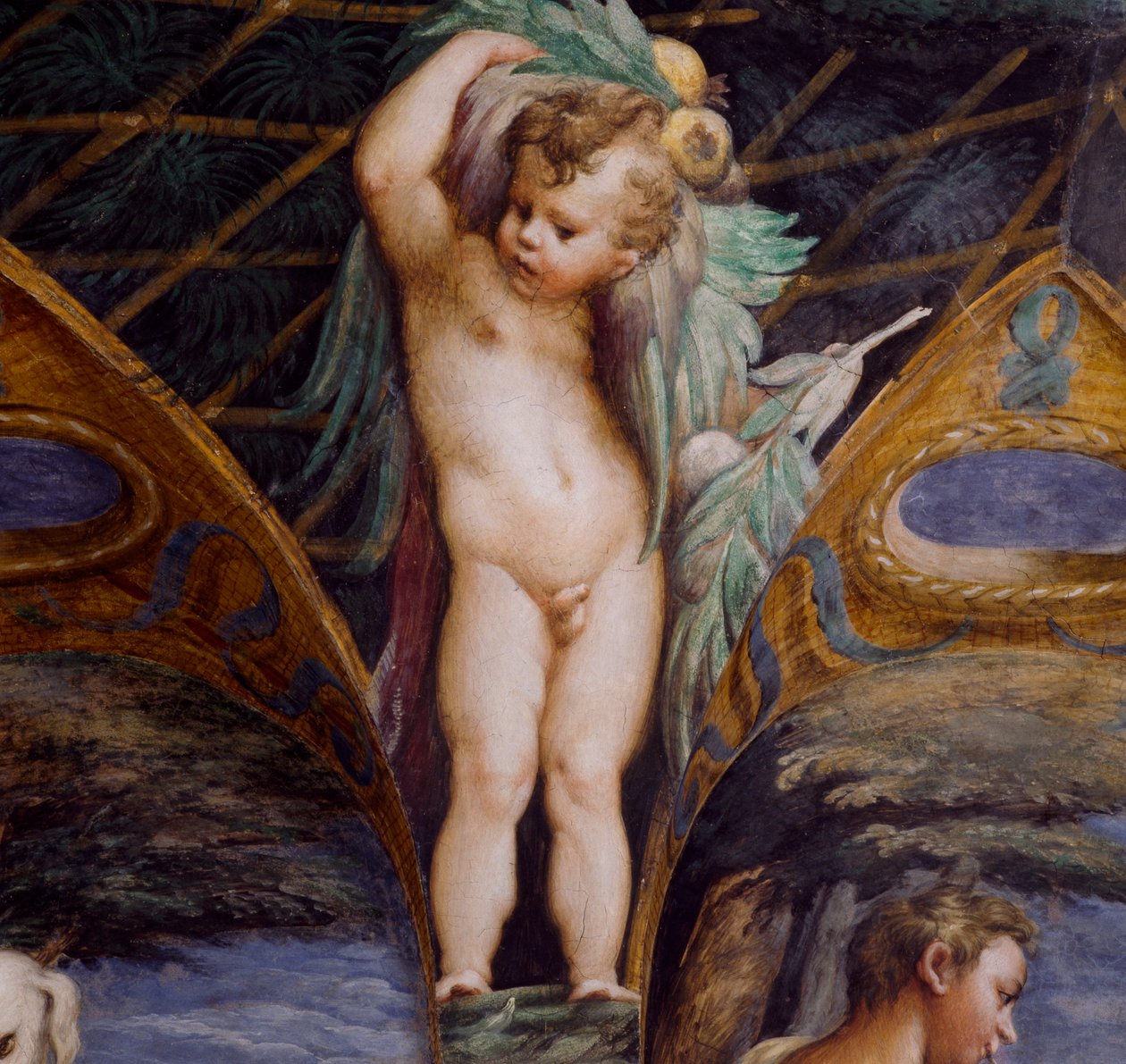 Querubim, detalhe de Mito de Diana e Actaeon, circa de Parmigianino