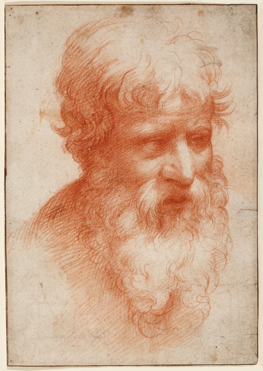 Cabeça de um homem barbudo, olhando para a direita, c.1523-25 (giz vermelho sobre papel) de Parmigianino (1503 40)