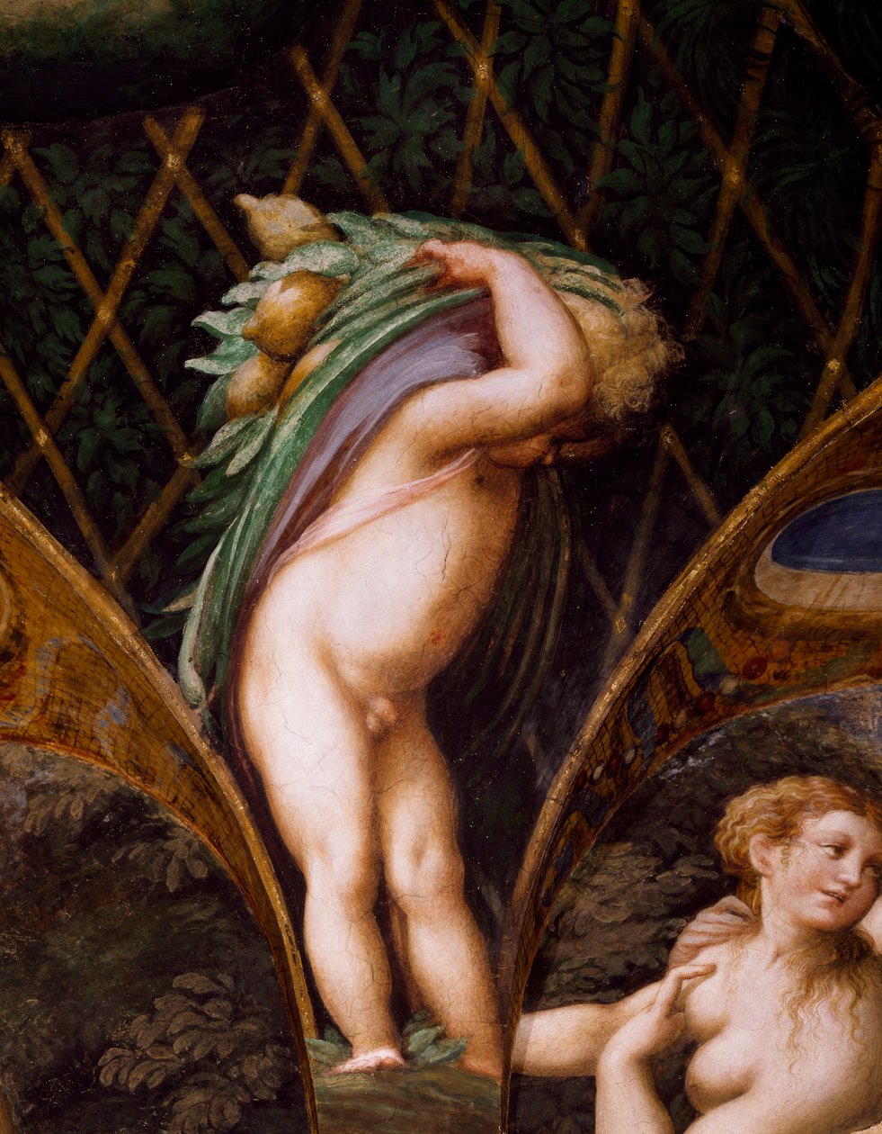Putto, de Mito de Diana e Actaeon de Parmigianino
