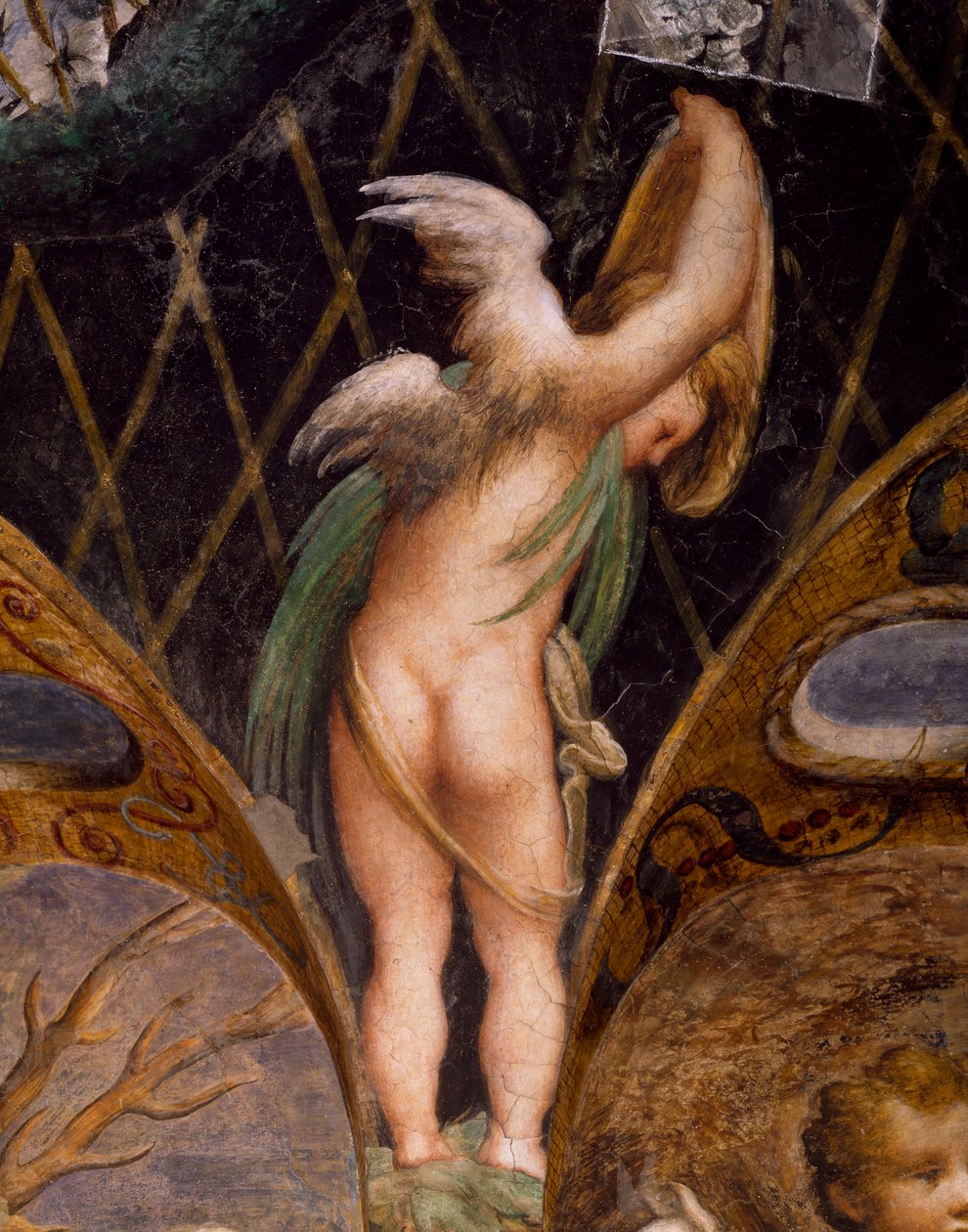 Putto, de Mito de Diana e Actaeon de Parmigianino