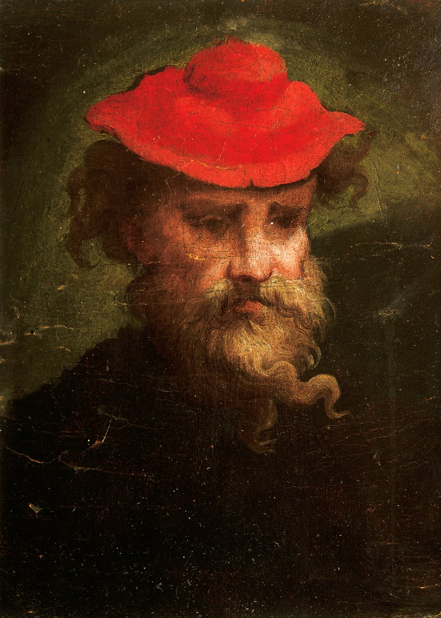 Auto-retrato de Francesco Parmigianino (1503-1540) de Parmigianino