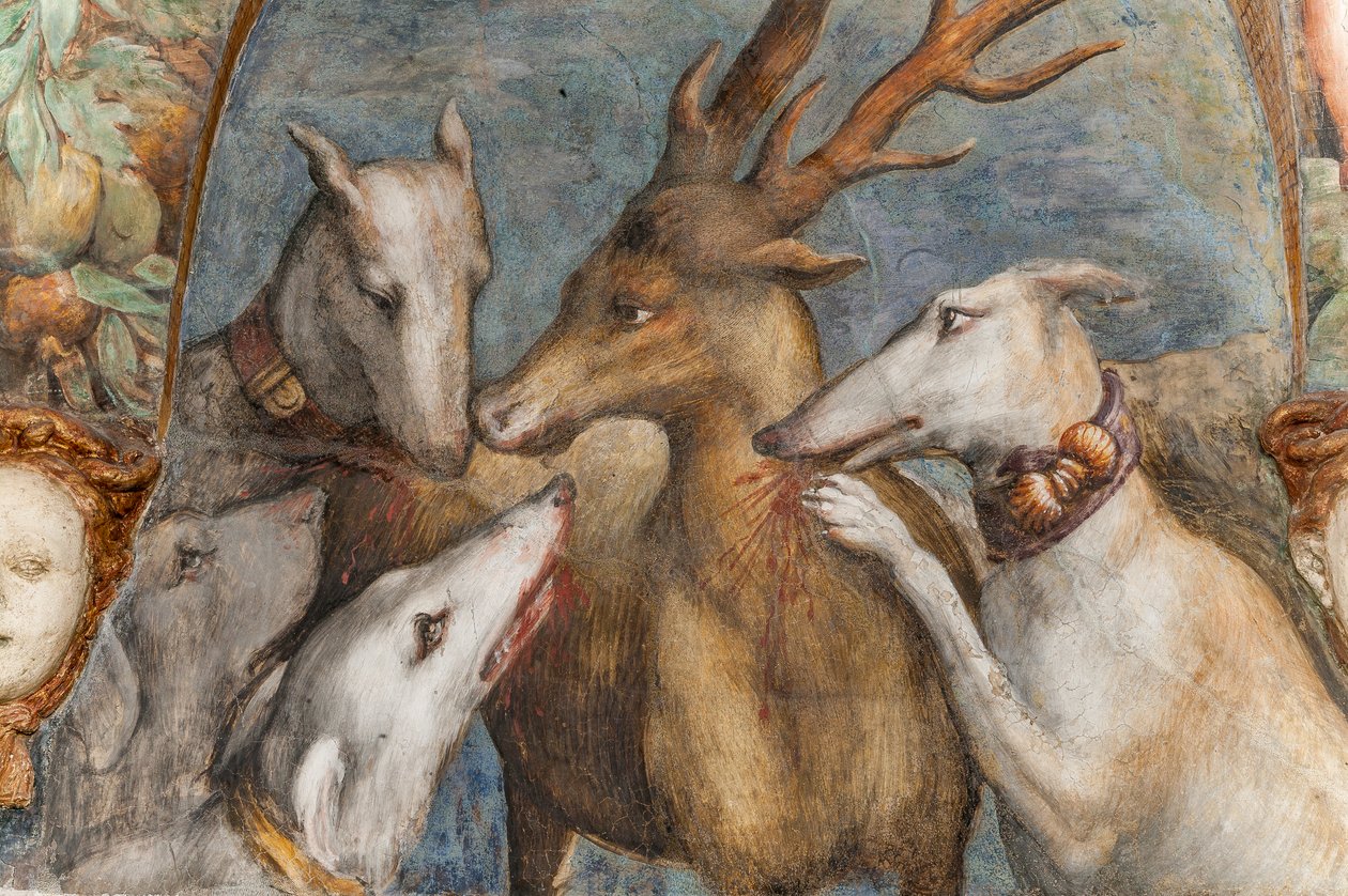 Actaeon, transformado em veado, é comido pelos seus próprios cães, da Sala de Diana e Actaeon, a Muralha do Norte, detalhe de 2384753 de Parmigianino
