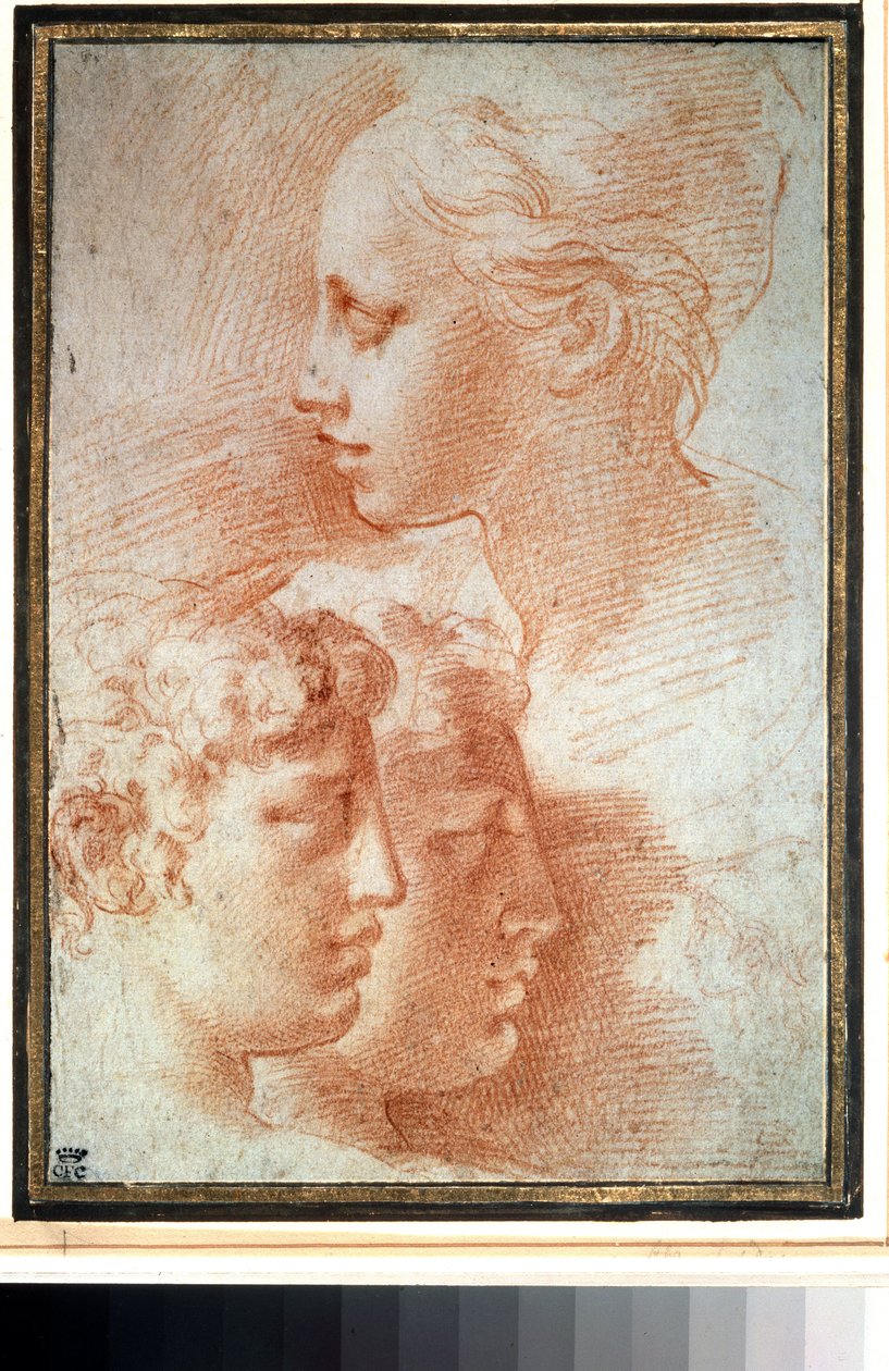 "Etude de tetes" (Estudo das cabeças). Rapariga e rapazes enfrentam o perfil. Desenho de Girolamo Francesco Maria Mazzola ou Mazzuoli dit il Parmigianino (O Parmesão de Parmigianino