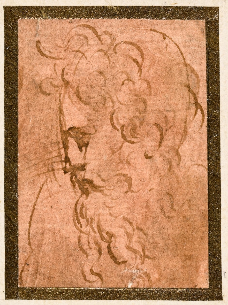Cabeça masculina de Parmigianino