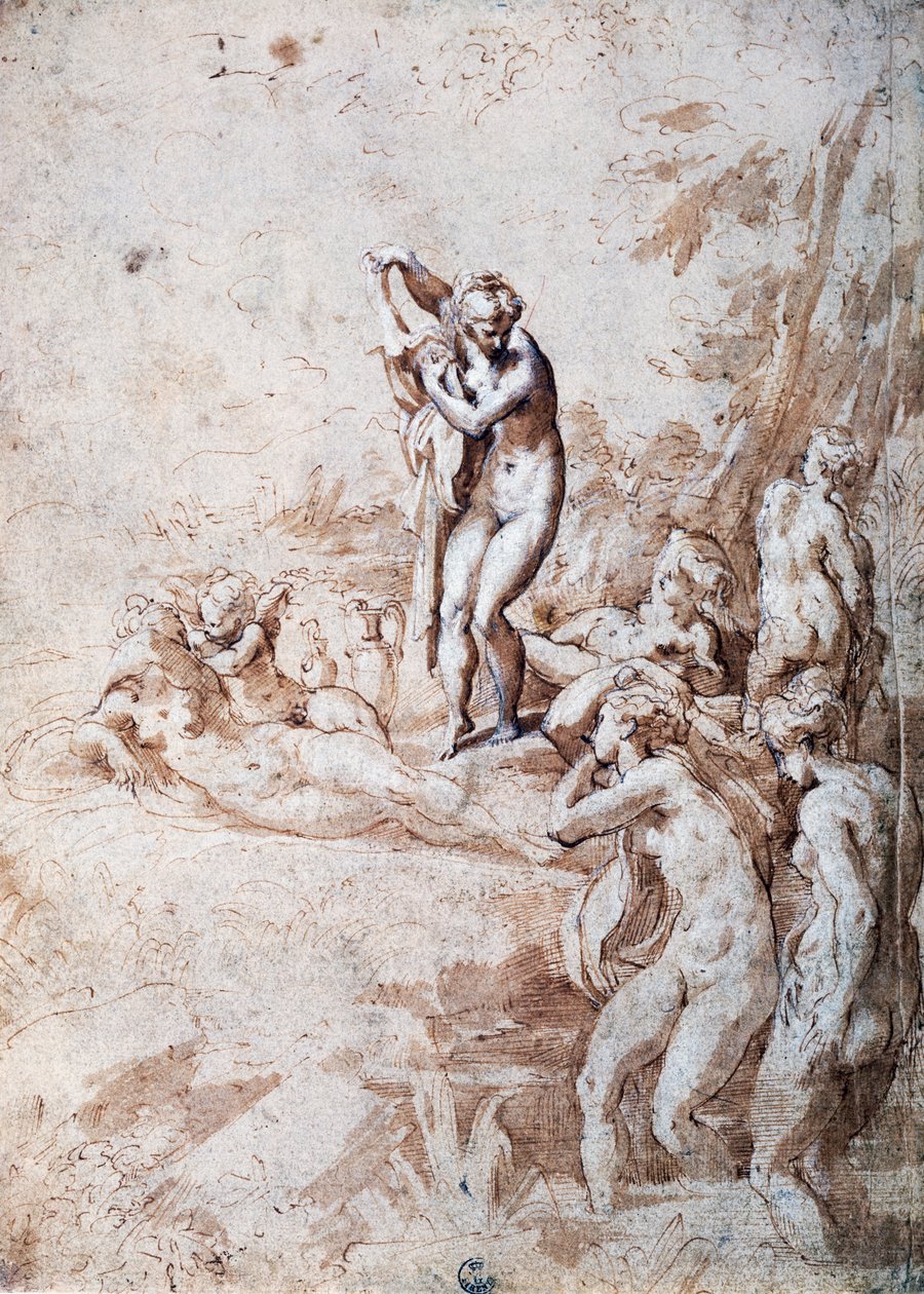 Banho de ninfas (caneta e tinta diluída, chumbo branco) de Parmigianino