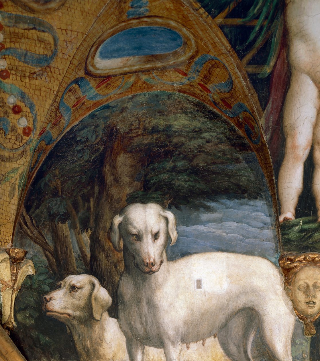 Par de cães, detalhe de Myth of Diana e Actaeon, de Francesco Mazzola conhecido como Parmigianino (1503-1540), fresco, lado norte de Room of Diana e Actaeon, Rocca Sanvitale, Fontanellato, perto de Parma, Itália, cerca de 1524 de Parmigianino