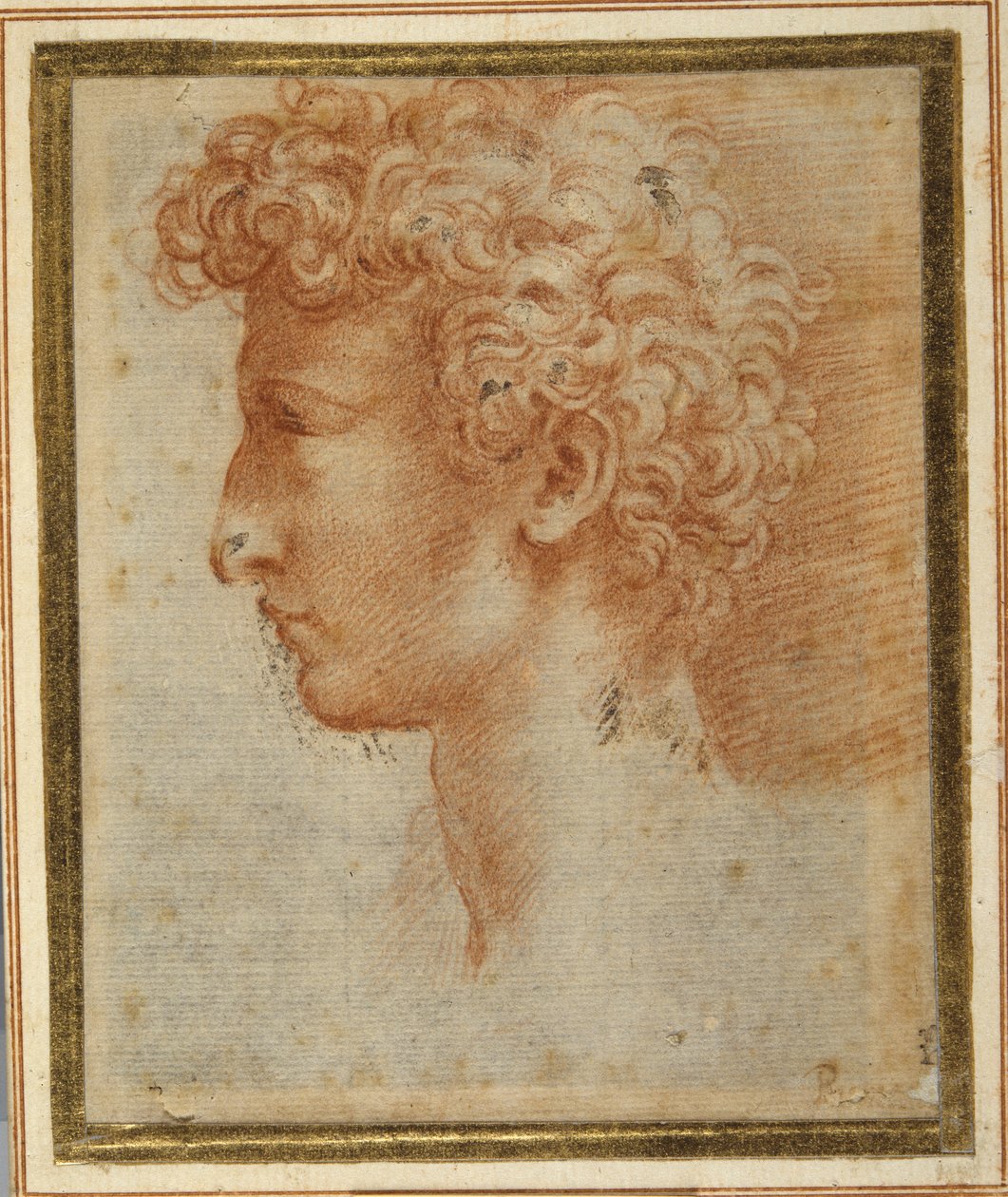 Perfil de um homem jovem (giz vermelho sobre papel branco) de Parmigianino