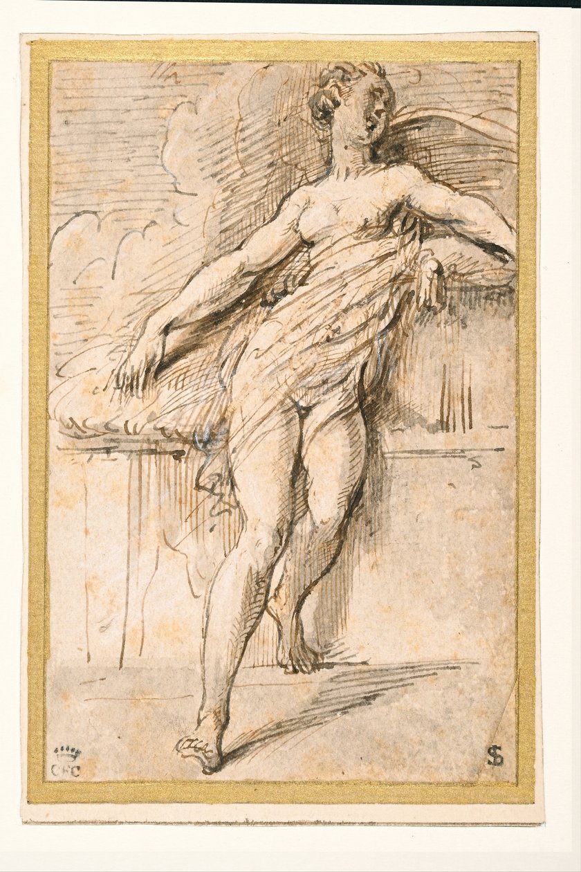 Figura feminina recortada de Parmigianino