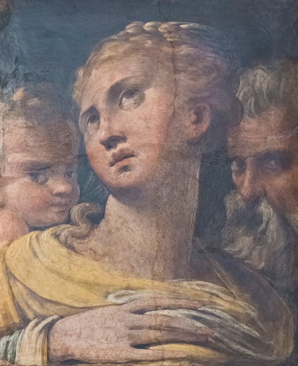 Três cabeças de Parmigianino (1503 40)