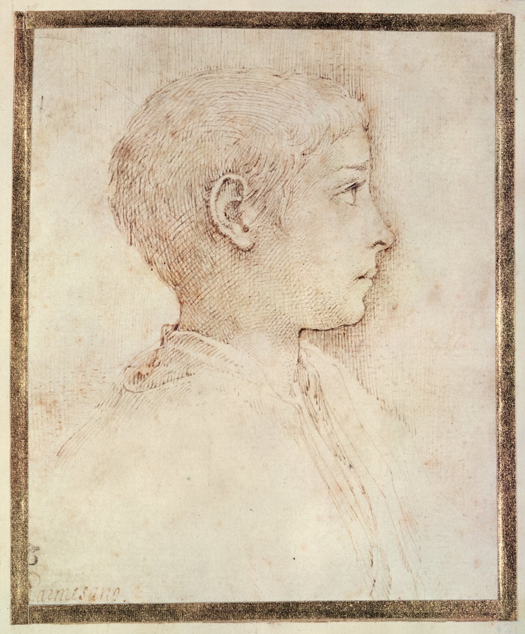 Cabeça de menino de Parmigianino